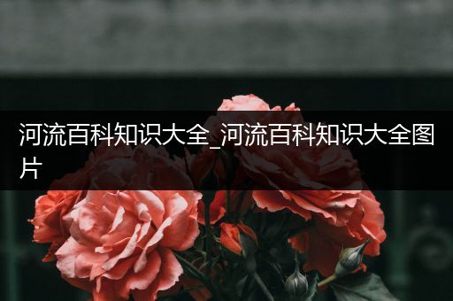 河流百科知识大全_河流百科知识大全图片