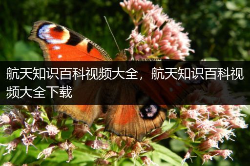 航天知识百科视频大全，航天知识百科视频大全下载