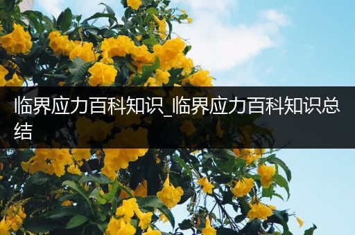 临界应力百科知识_临界应力百科知识总结