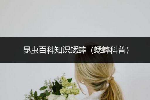 昆虫百科知识蟋蟀（蟋蟀科普）