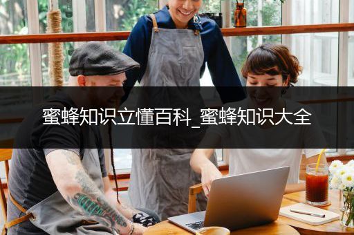 蜜蜂知识立懂百科_蜜蜂知识大全