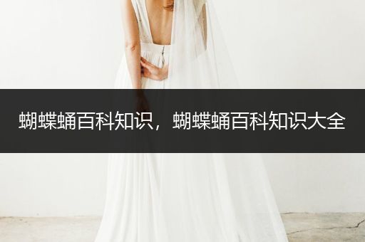 蝴蝶蛹百科知识，蝴蝶蛹百科知识大全