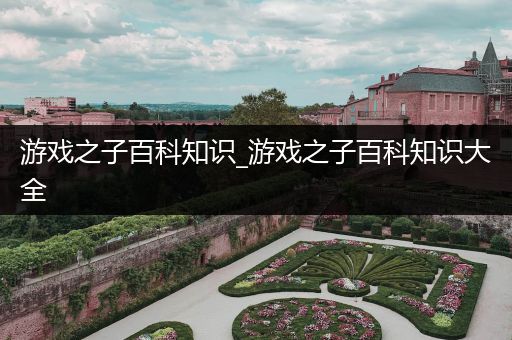 游戏之子百科知识_游戏之子百科知识大全