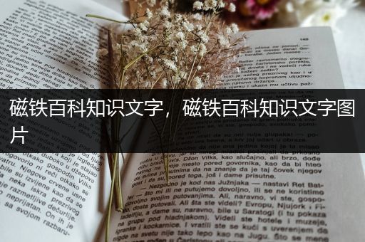 磁铁百科知识文字，磁铁百科知识文字图片