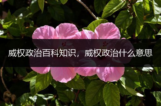 威权政治百科知识，威权政治什么意思