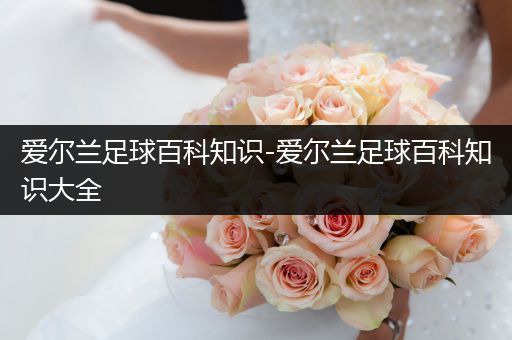 爱尔兰足球百科知识-爱尔兰足球百科知识大全