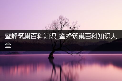 蜜蜂筑巢百科知识_蜜蜂筑巢百科知识大全