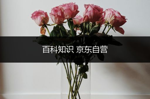 百科知识 京东自营