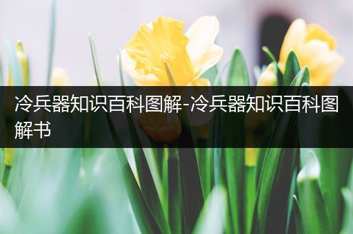 冷兵器知识百科图解-冷兵器知识百科图解书