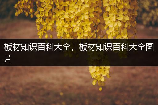 板材知识百科大全，板材知识百科大全图片