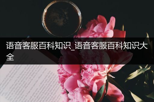 语音客服百科知识_语音客服百科知识大全