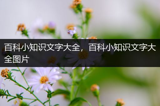百科小知识文字大全，百科小知识文字大全图片