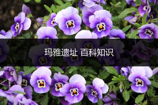 玛雅遗址 百科知识