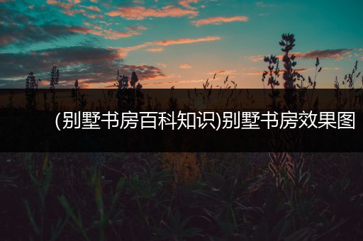 （别墅书房百科知识)别墅书房效果图