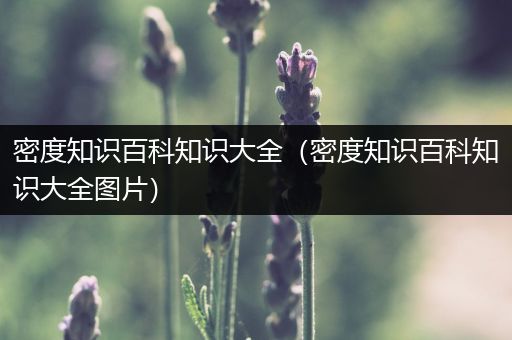 密度知识百科知识大全（密度知识百科知识大全图片）