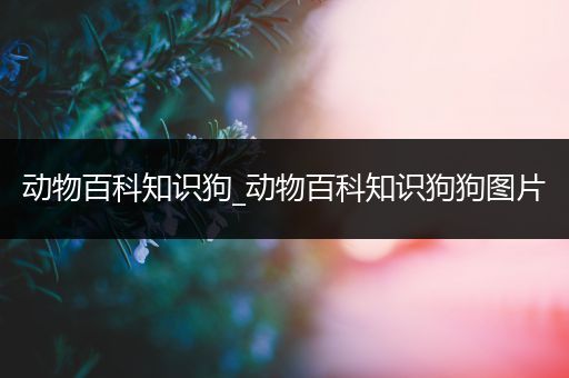 动物百科知识狗_动物百科知识狗狗图片