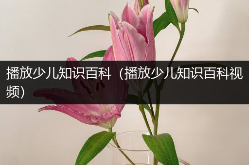 播放少儿知识百科（播放少儿知识百科视频）