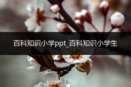 百科知识小学ppt_百科知识小学生