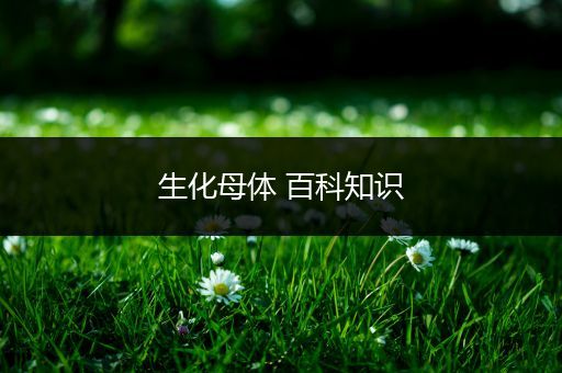 生化母体 百科知识