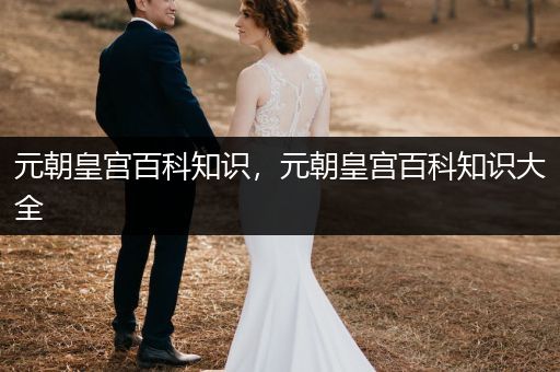 元朝皇宫百科知识，元朝皇宫百科知识大全