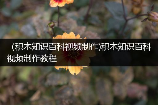 （积木知识百科视频制作)积木知识百科视频制作教程