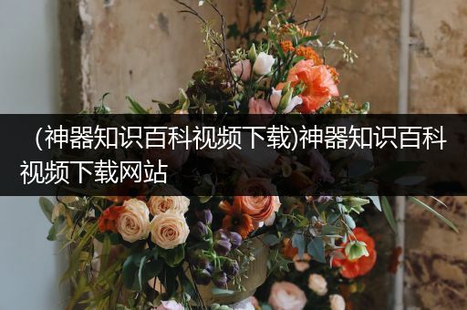 （神器知识百科视频下载)神器知识百科视频下载网站