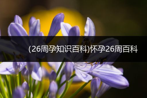 （26周孕知识百科)怀孕26周百科