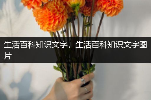 生活百科知识文字，生活百科知识文字图片