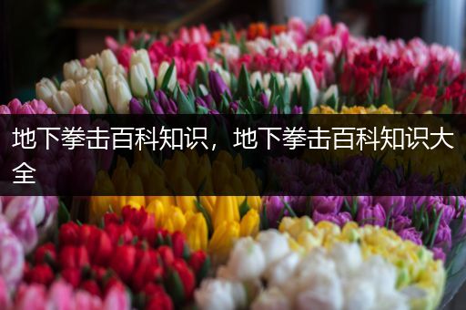 地下拳击百科知识，地下拳击百科知识大全