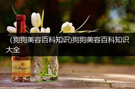 （狗狗美容百科知识)狗狗美容百科知识大全