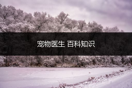 宠物医生 百科知识