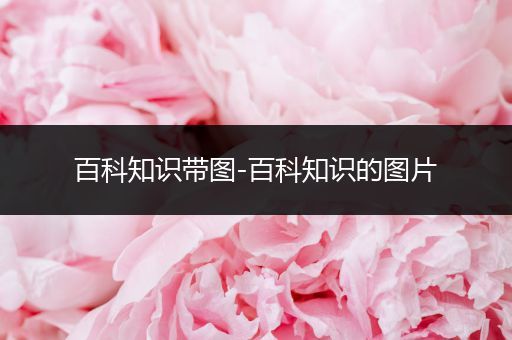 百科知识带图-百科知识的图片