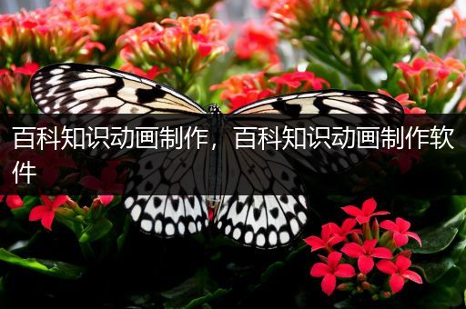 百科知识动画制作，百科知识动画制作软件