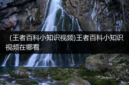 （王者百科小知识视频)王者百科小知识视频在哪看