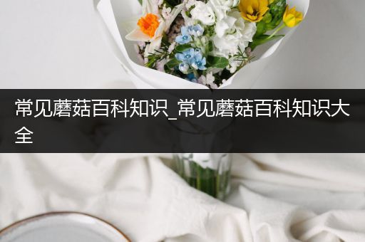 常见蘑菇百科知识_常见蘑菇百科知识大全