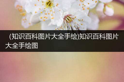 （知识百科图片大全手绘)知识百科图片大全手绘图