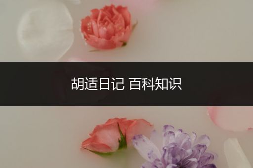 胡适日记 百科知识
