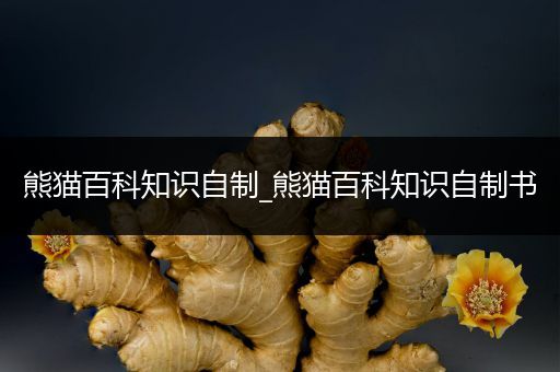 熊猫百科知识自制_熊猫百科知识自制书