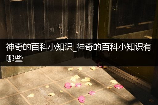 神奇的百科小知识_神奇的百科小知识有哪些