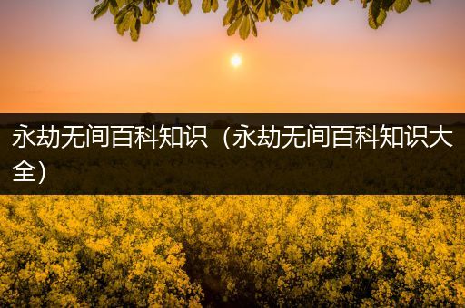 永劫无间百科知识（永劫无间百科知识大全）