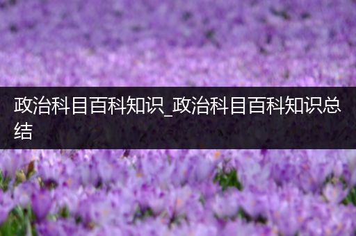 政治科目百科知识_政治科目百科知识总结