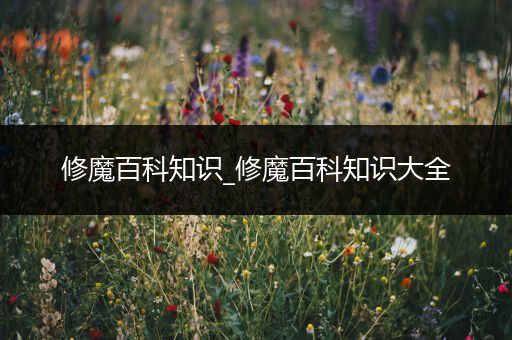修魔百科知识_修魔百科知识大全