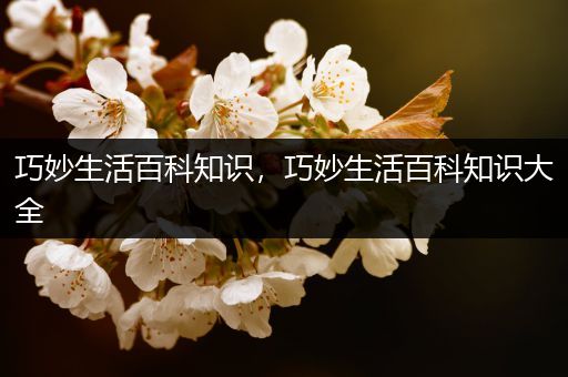巧妙生活百科知识，巧妙生活百科知识大全