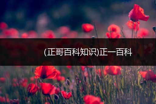 （正哥百科知识)正一百科