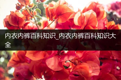 内衣内裤百科知识_内衣内裤百科知识大全