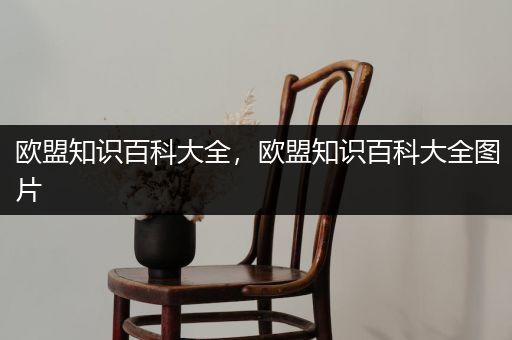欧盟知识百科大全，欧盟知识百科大全图片