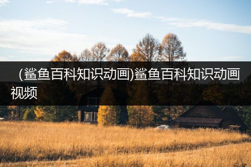 （鲨鱼百科知识动画)鲨鱼百科知识动画视频
