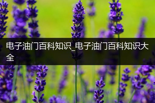 电子油门百科知识_电子油门百科知识大全