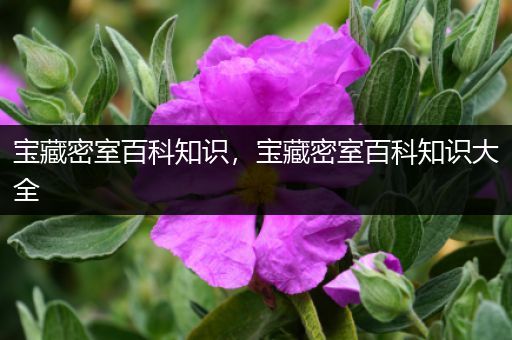 宝藏密室百科知识，宝藏密室百科知识大全