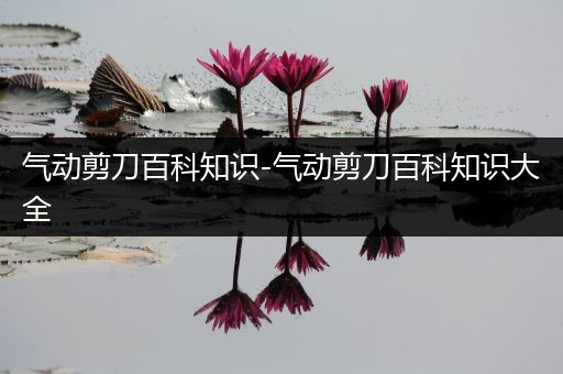 气动剪刀百科知识-气动剪刀百科知识大全
